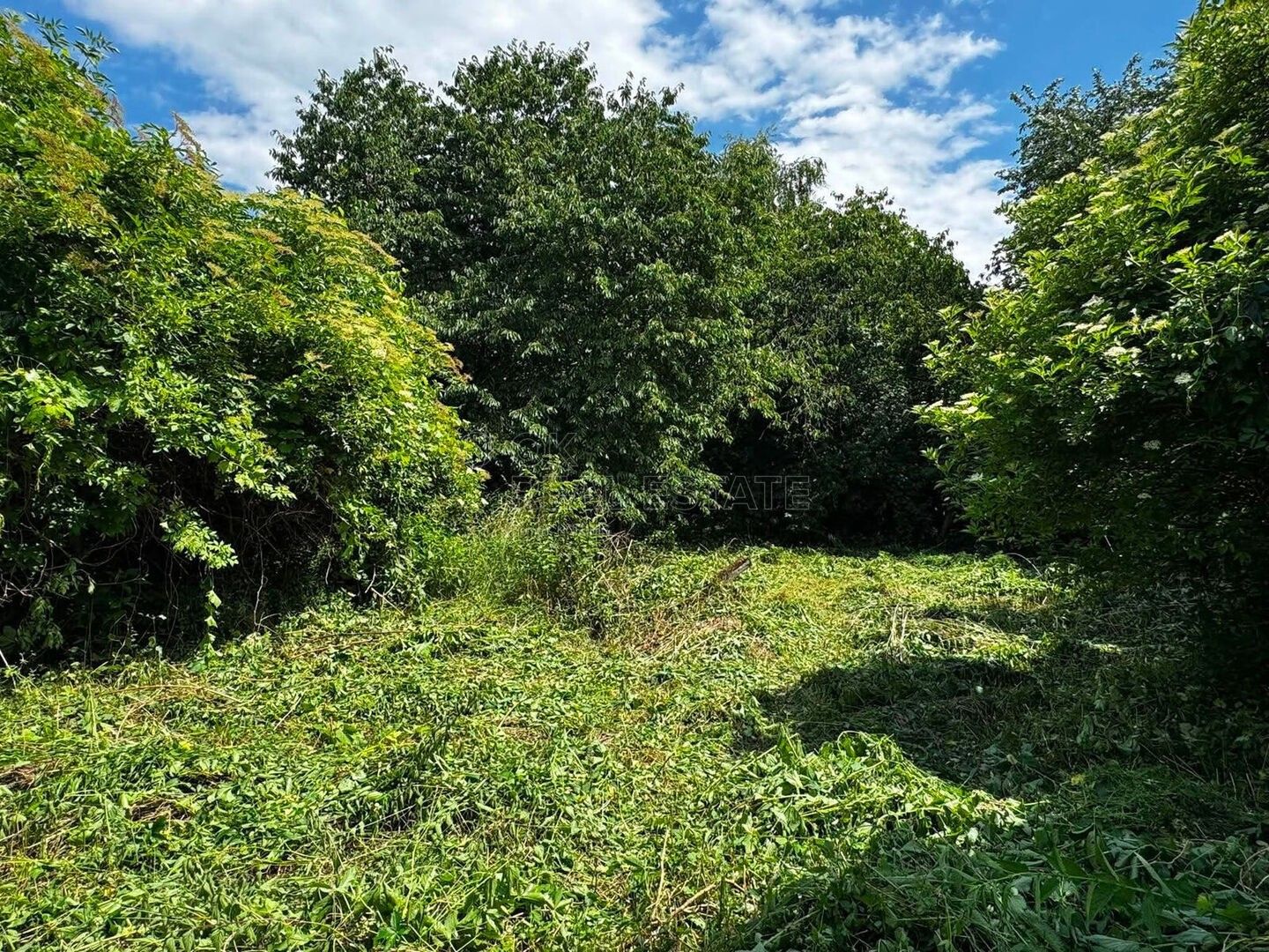 Prodej pozemek pro bydlení - Chrášťany, Hulín, 3 043 m² - 5