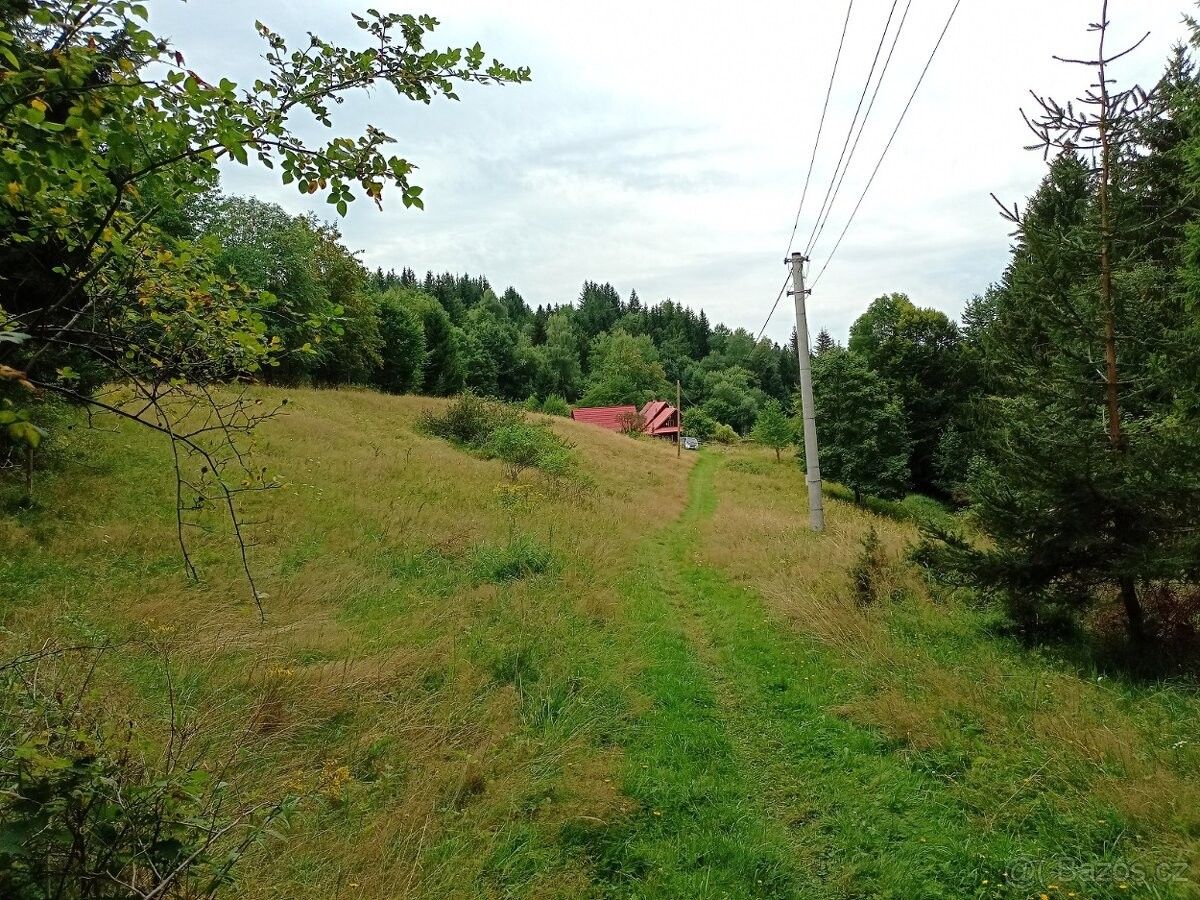 Prodej chata - Staré Hamry, 739 15