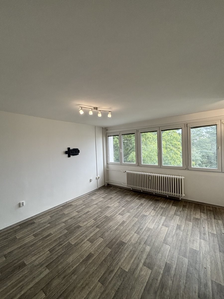 1+kk, Severní, Hradec Králové, 28 m² - 2