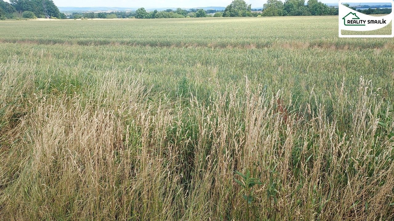 Prodej zemědělský pozemek - Maňovice, 99 724 m² - 5