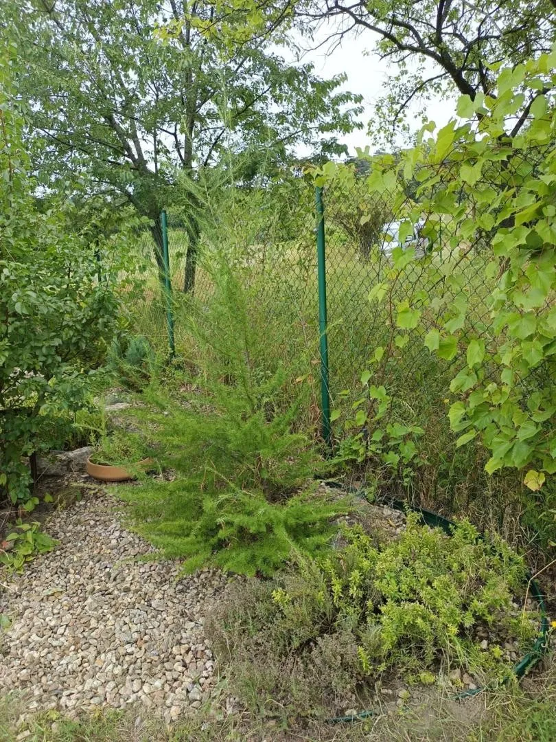 Ostatní