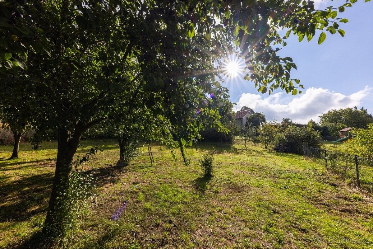 Rodinné domy, Žďár nad Sázavou, 591 01