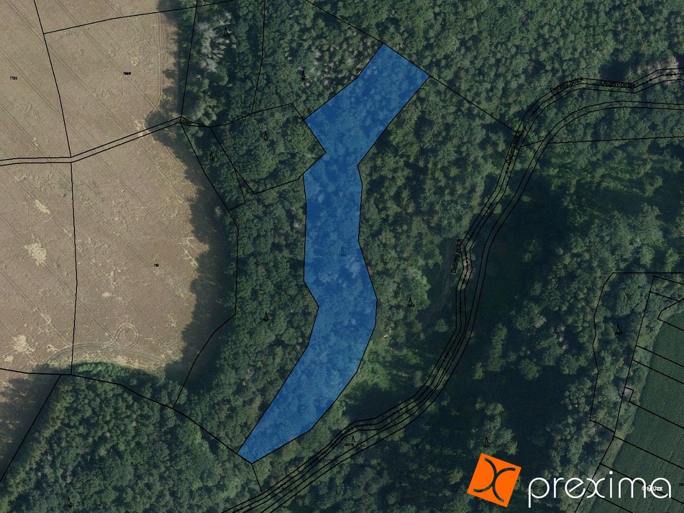 Lesy, České Lhotice, okres Chrudim, Pardubický kraj - 1