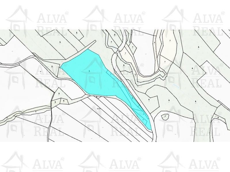 Prodej les - Tasov, 24 m²