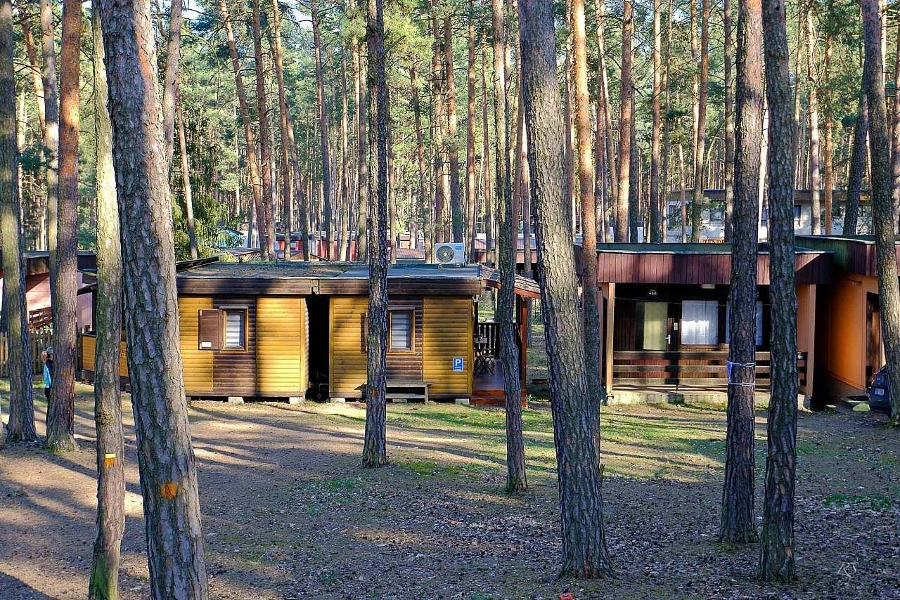 Chaty, Doksy - Doksy u Máchova jezera, Liberecký kraj - 2