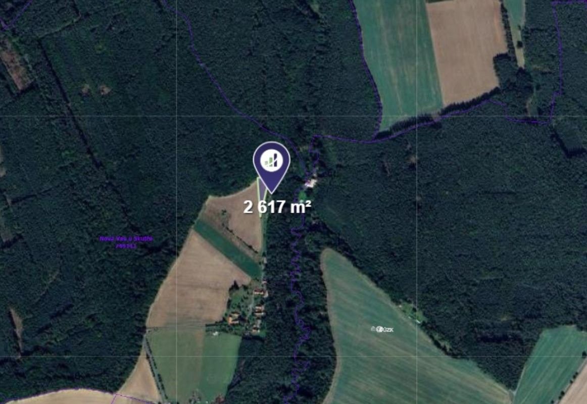 Prodej zemědělský pozemek - Skuteč, 2 617 m²