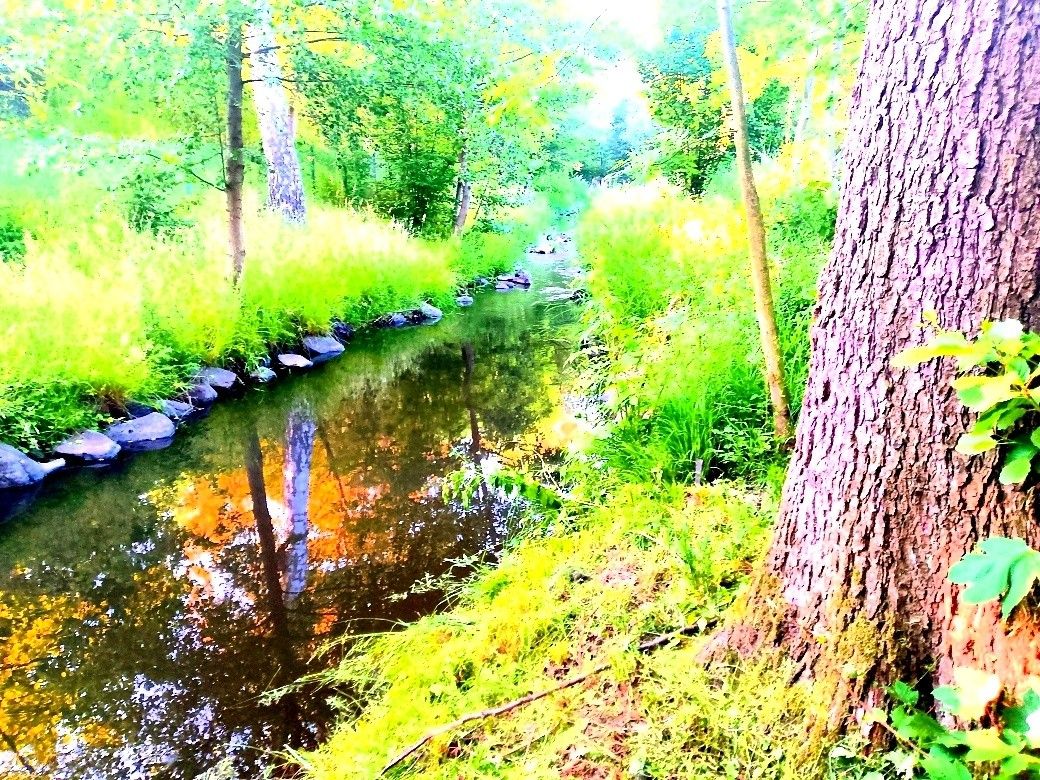 Prodej pozemek pro bydlení - Děčín, 405 02