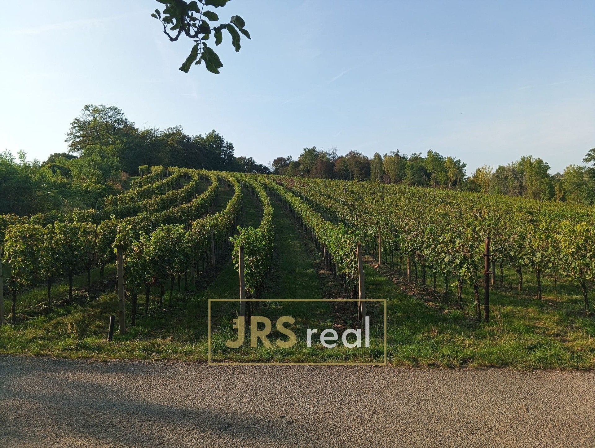 Zemědělské pozemky, Mutěnice