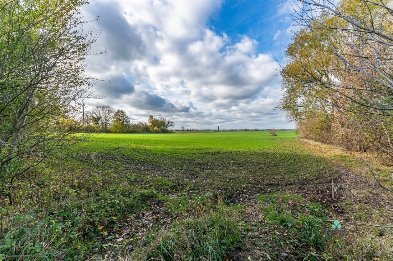 Komerční pozemek · 24 162 m² · Libenice - 3
