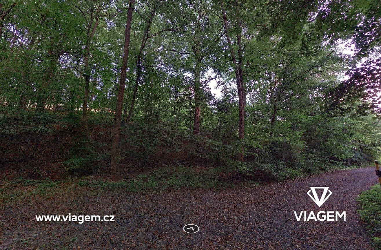 Zemědělský pozemek · Šarovy, okres Zlín, Zlínský kraj - 3