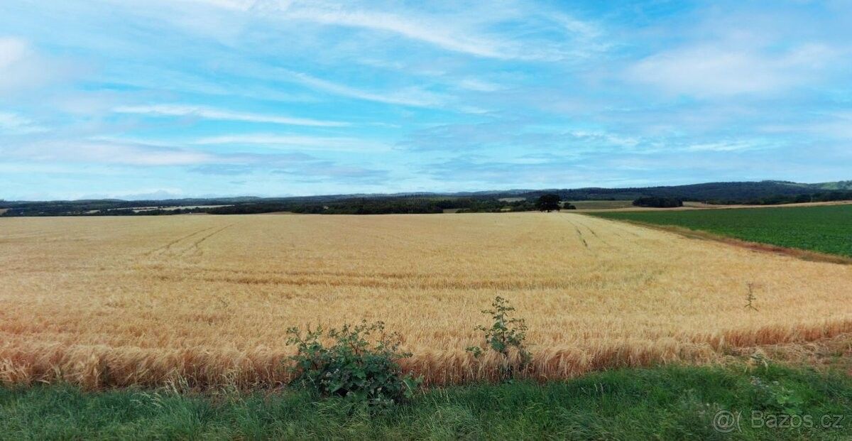 Prodej pozemek pro bydlení - Plumlov, 798 03