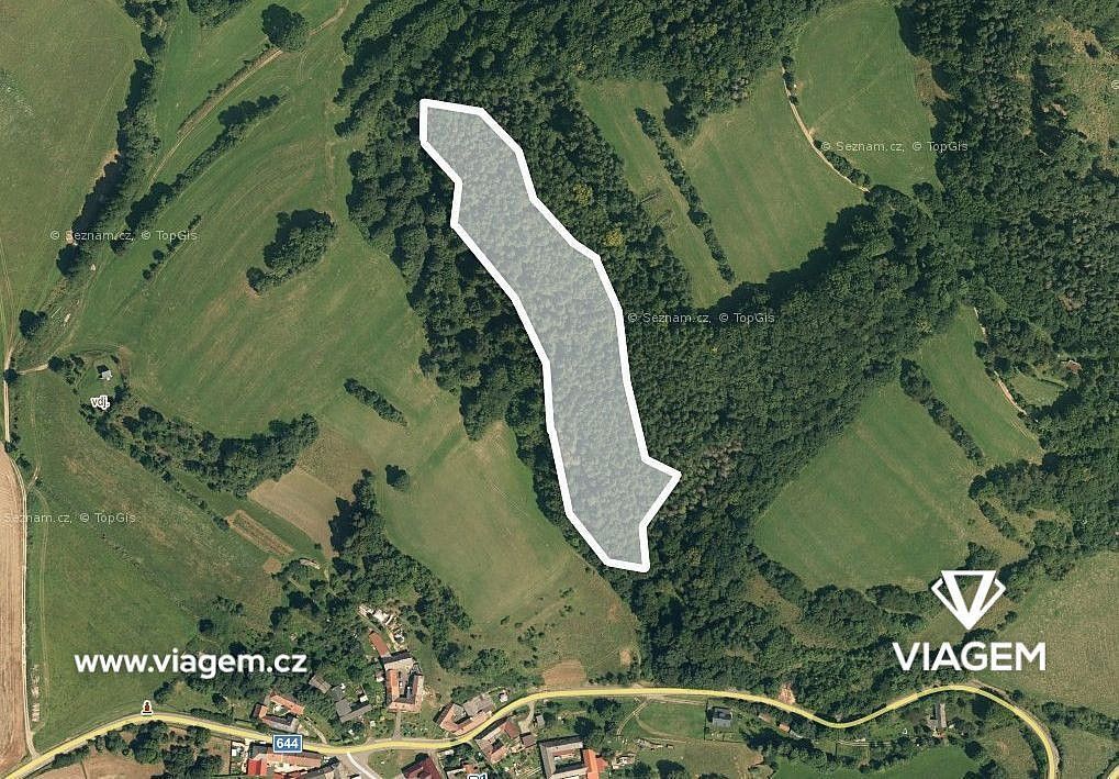 Les · Vranová Lhota, okres Svitavy, Pardubický kraj - 2