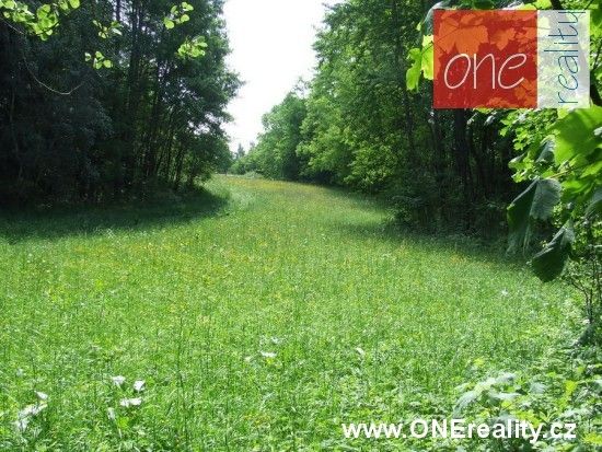 Pronájem louka - Rokytnice nad Jizerou, 1 000 m² - 5