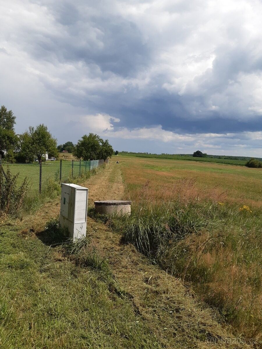 Prodej pozemek pro bydlení - Borovany, 373 12