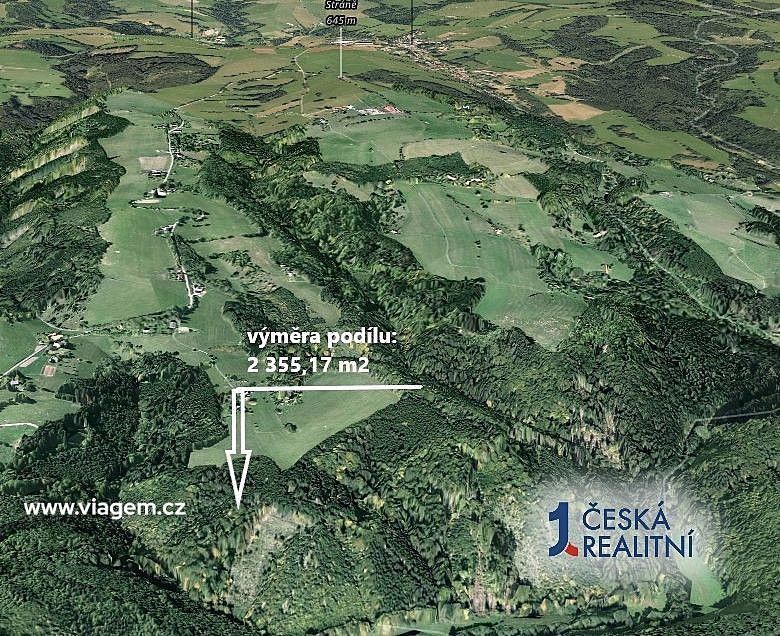 Lesy, Cotkytle, okres Ústí nad Orlicí, Pardubický kraj - 2