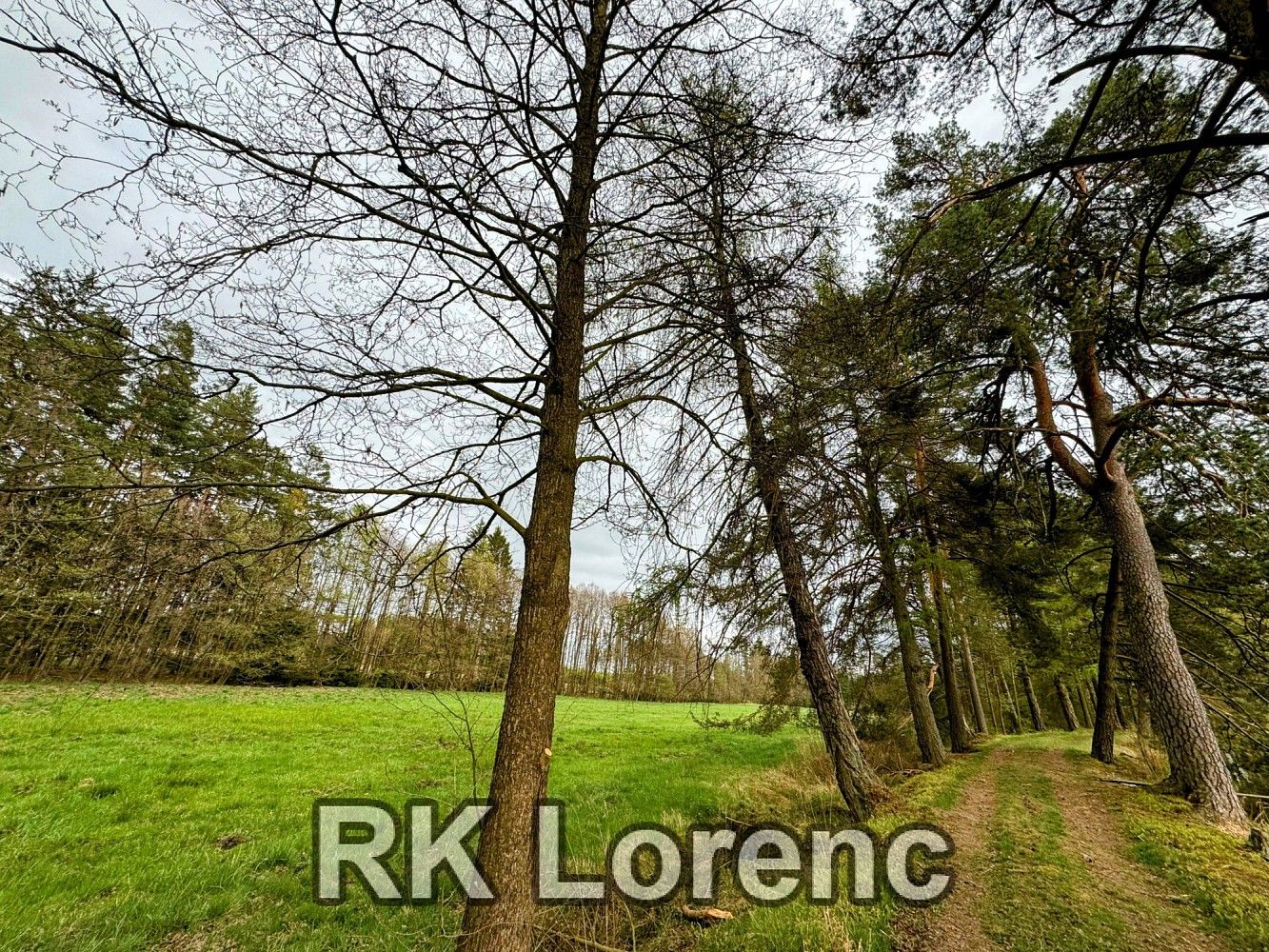 Prodej louka - Radostín nad Oslavou, okres Žďár nad Sázavou, Kraj Vysočina - 5