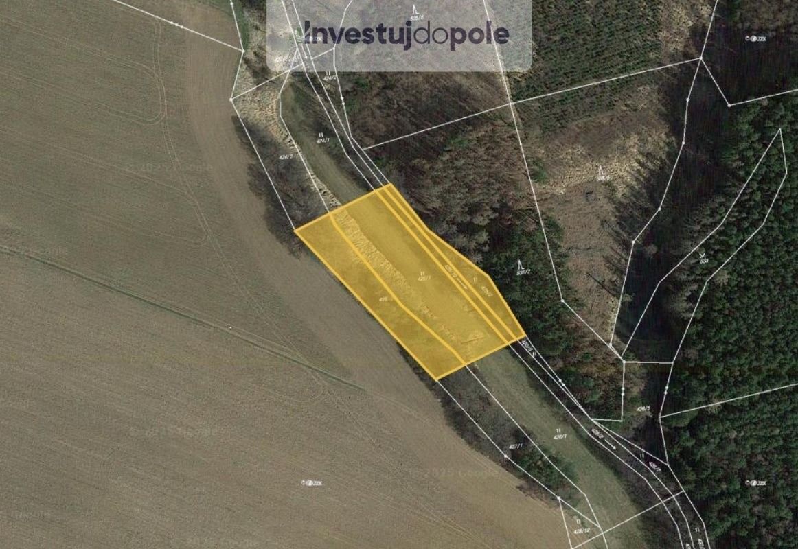 Prodej zemědělský pozemek - Mladá Vožice, 391 43, 2 628 m²