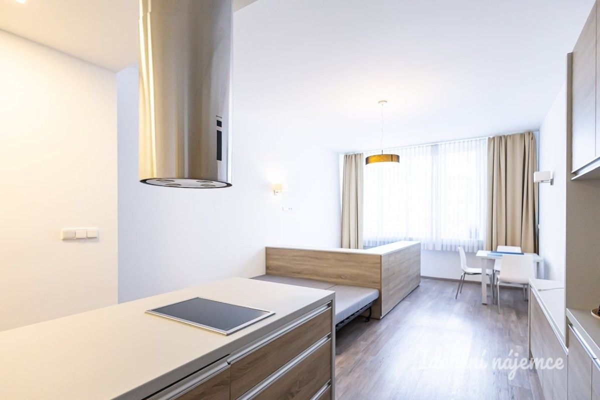 Byt 1+kk · 38 m² · U půjčovny, Praha - 3