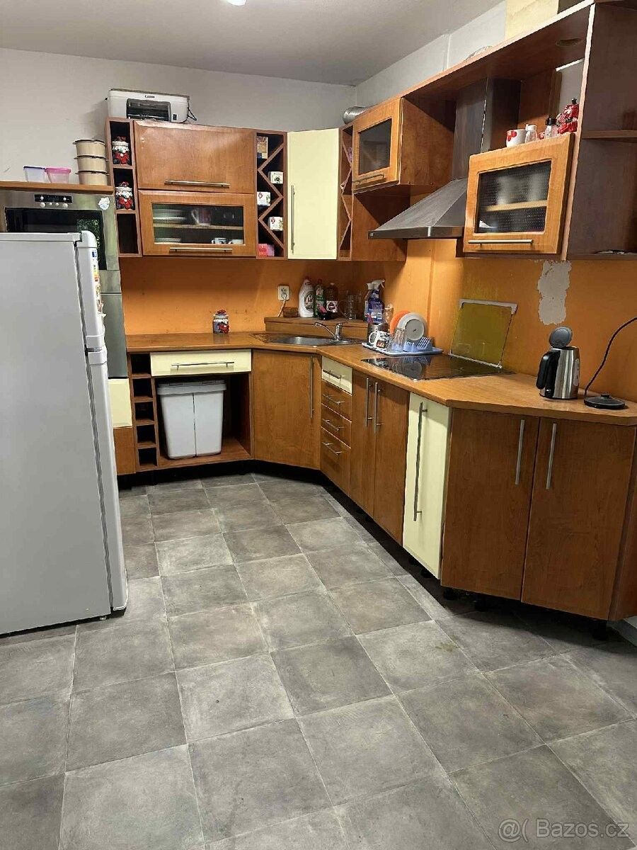 Prodej byt - Olešnice u Rychnova nad Kněžnou, 517 36