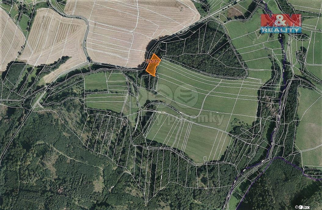 Les · Vranová Lhota, okres Svitavy, Pardubický kraj - 3