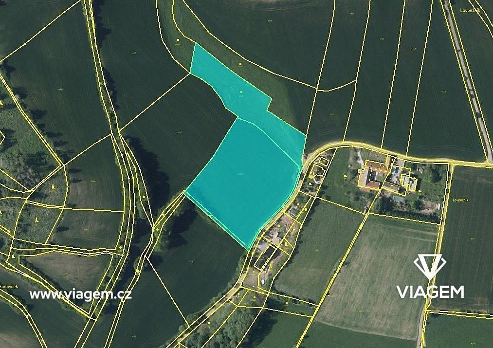 Zemědělský pozemek · Velké Meziříčí, okres Žďár nad Sázavou, Kraj Vysočina - 3