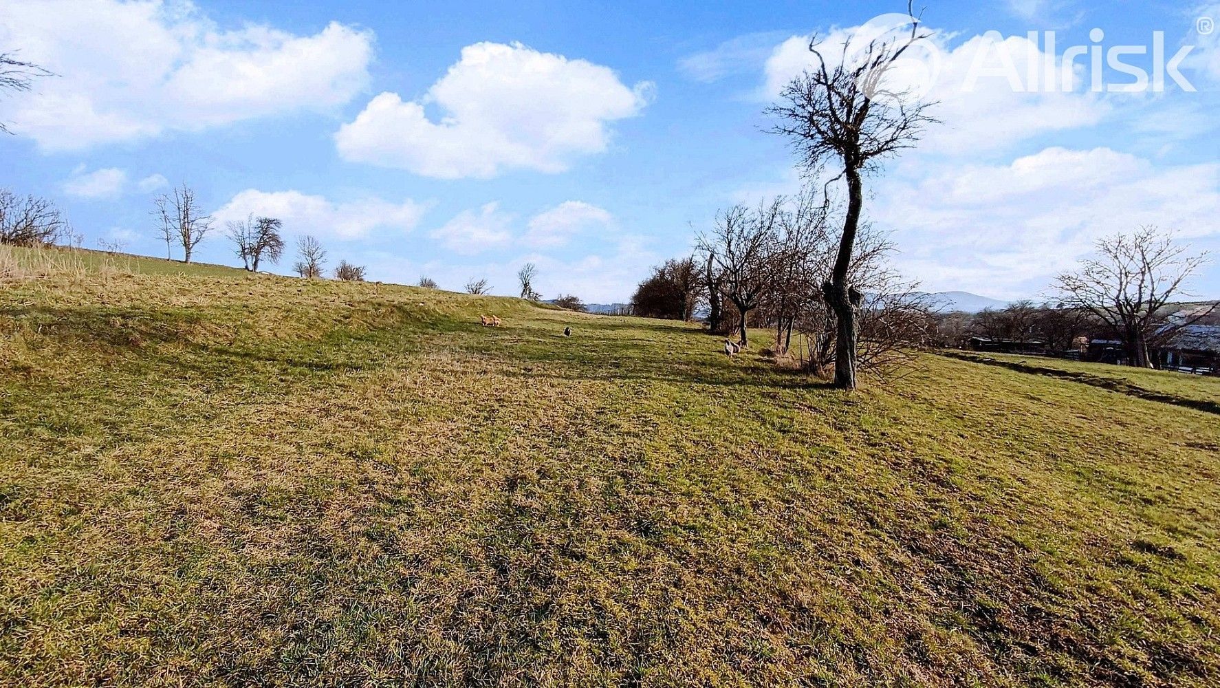 Zahrada · Lačnov, okres Vsetín, Zlínský kraj - 2