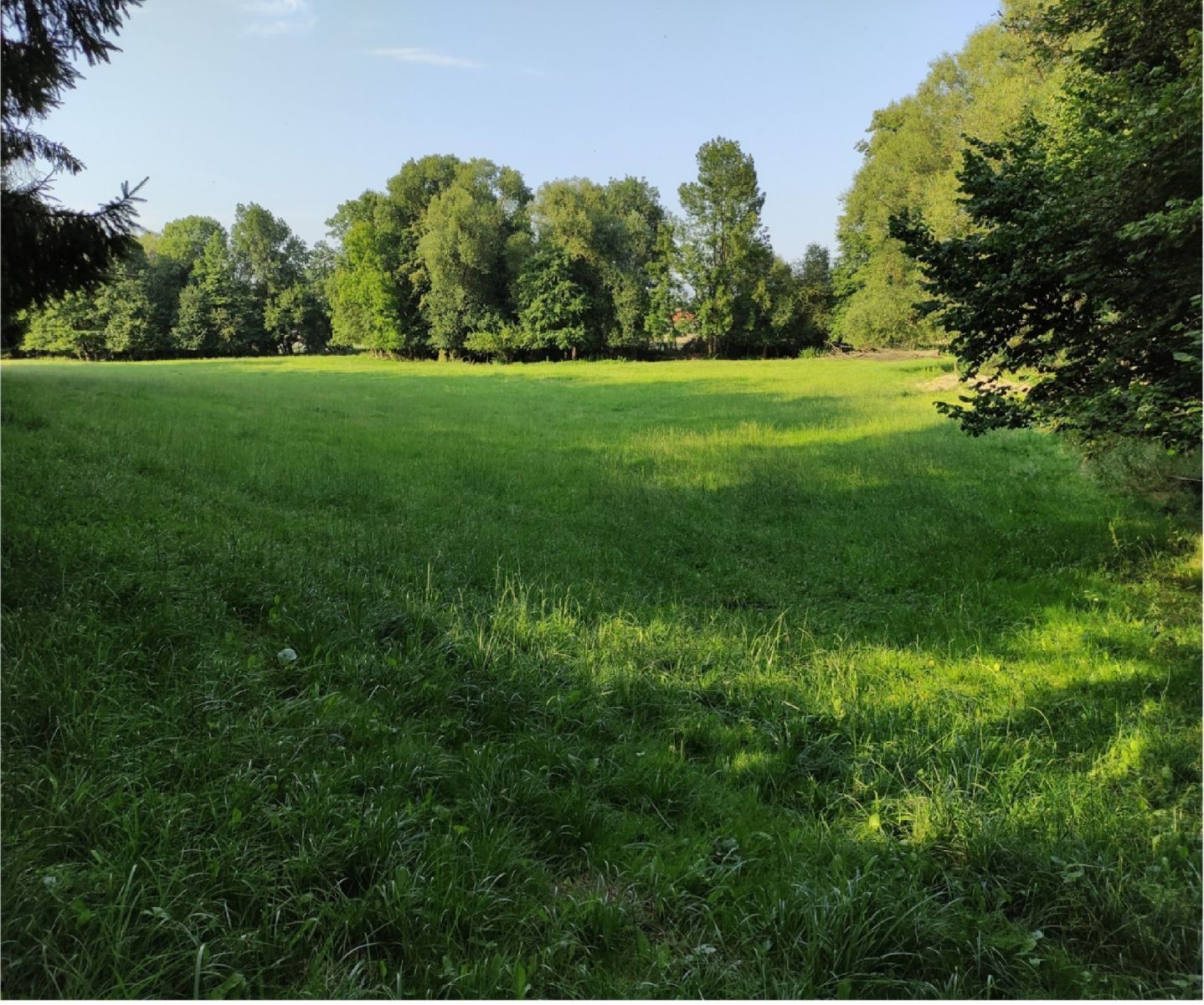 Louky, Vysoké Mýto - Vysoké Mýto, Pardubický kraj - 1