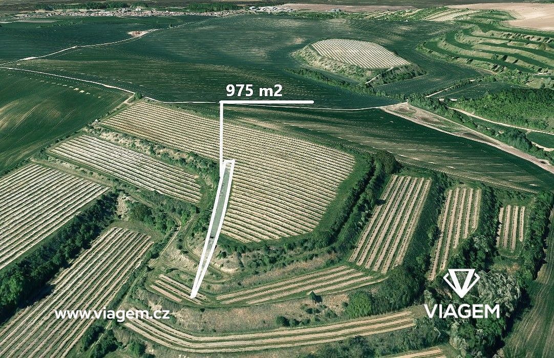Prodej zemědělský pozemek - Uherčice, okres Břeclav, Jihomoravský kraj - 5