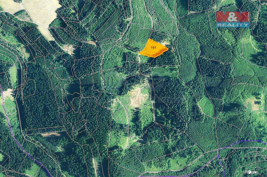 Les · Lhota u Vsetína, okres Vsetín, Zlínský kraj - 3
