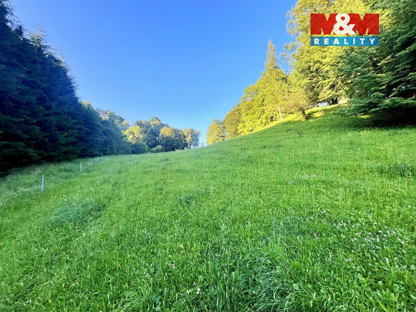Louka · Teplice nad Metují - Horní Teplice, okres Náchod, Královéhradecký kraj - 3