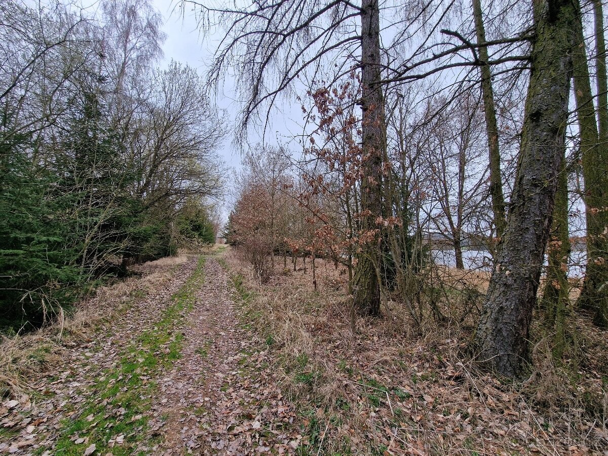 Pozemek pro bydlení · Lnáře, 387 42 - 4