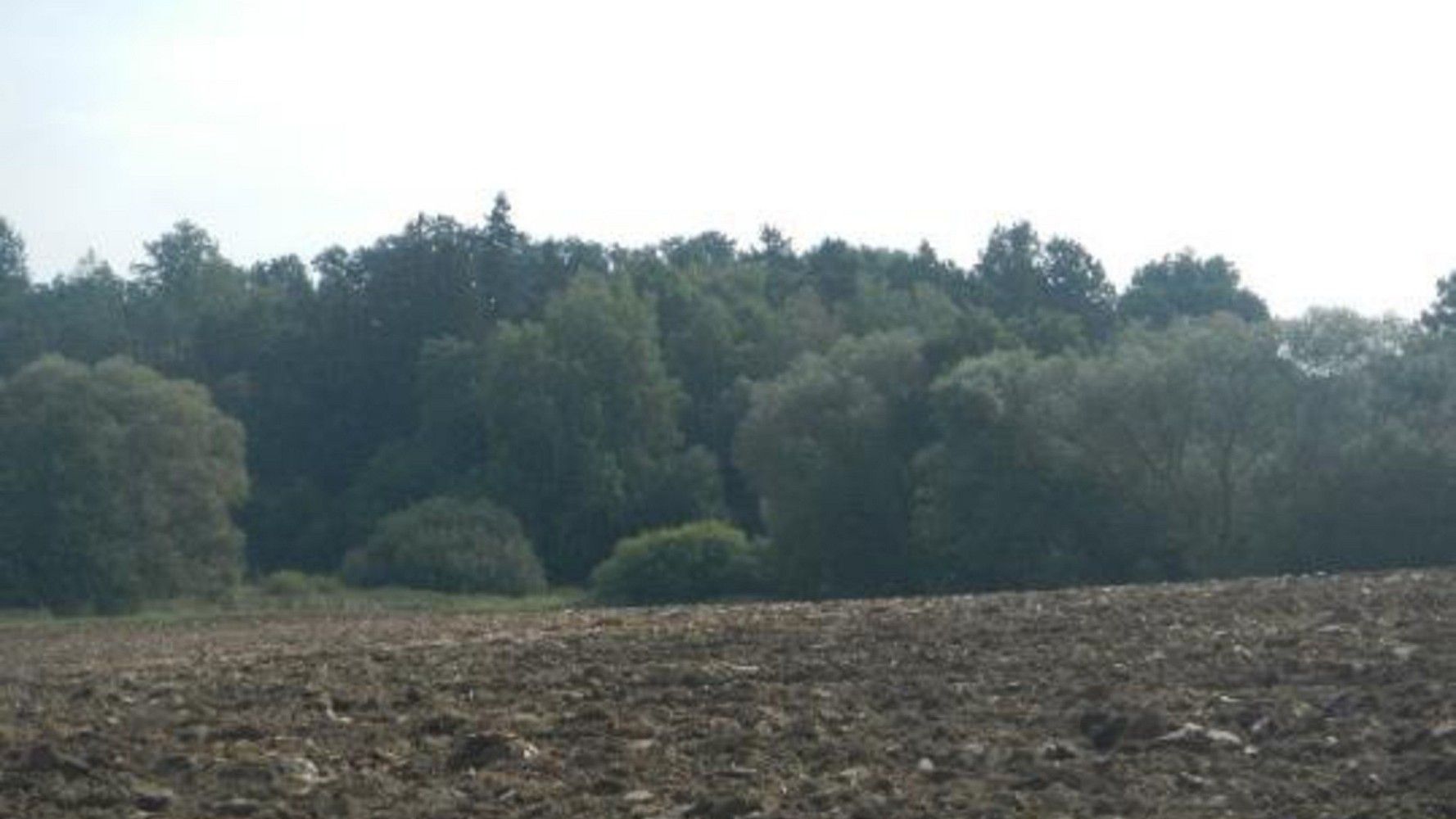 Zemědělský pozemek, 21 553 m²