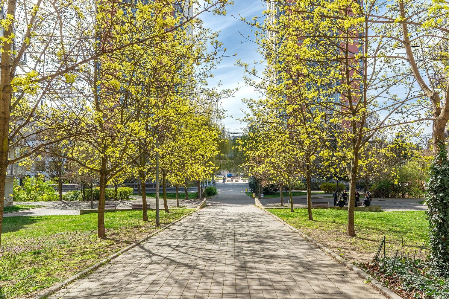 2+kk, Praha - Strašnice, okres Praha 10, Hlavní město Praha, 48 m² - 2
