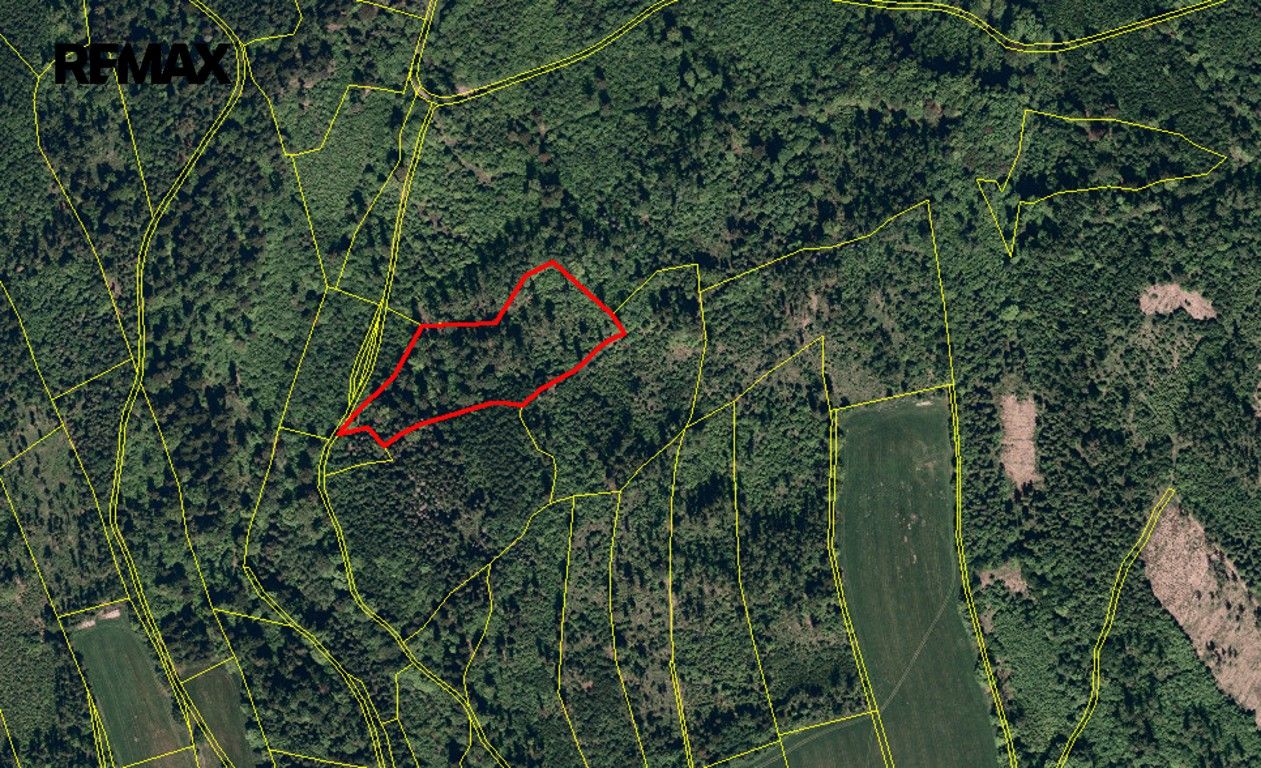Les · 25 088 m² · Spálov - 4