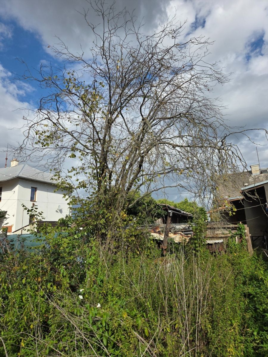 Rodinný dům · 105 m² · Vítězná, Litovel - Litovel, Olomoucký kraj - 4