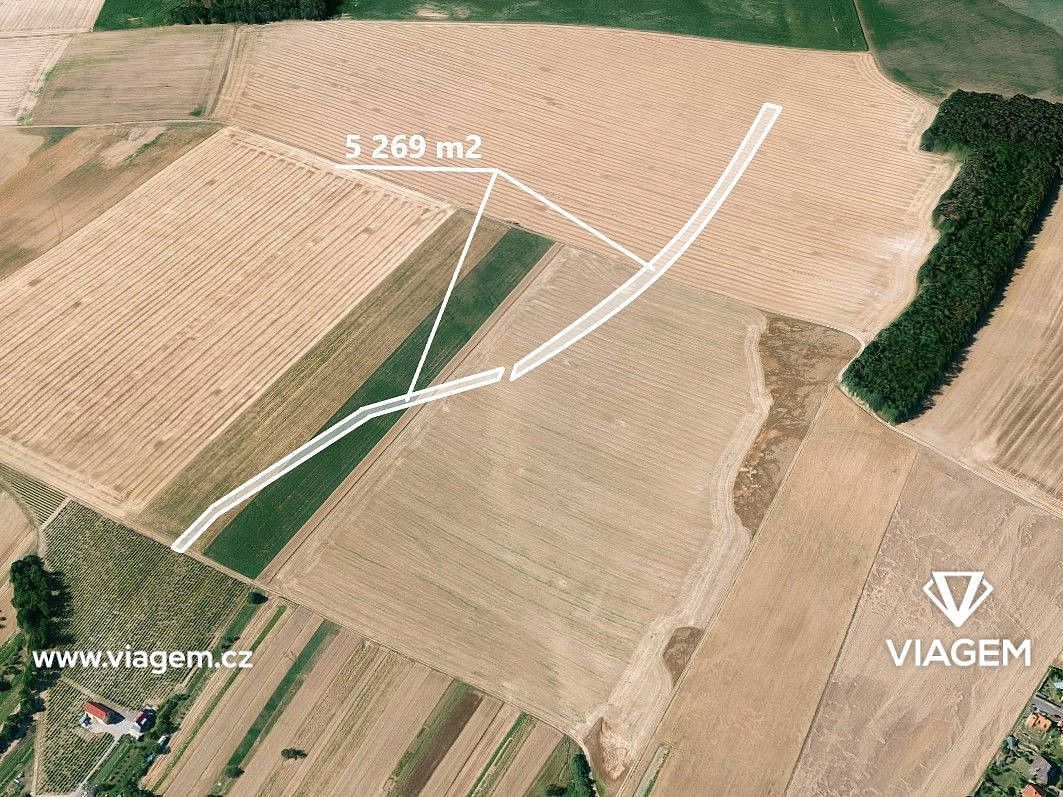 Zemědělský pozemek, 1 317 m²