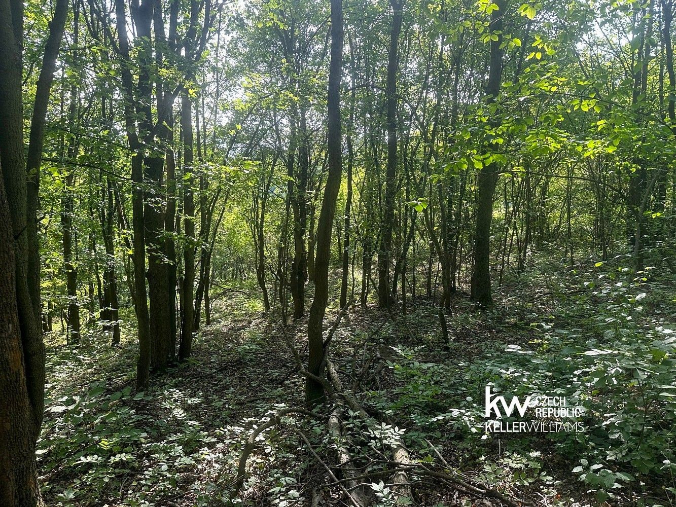 Prodej pozemek - Bílina, okres Teplice, Ústecký kraj - 5