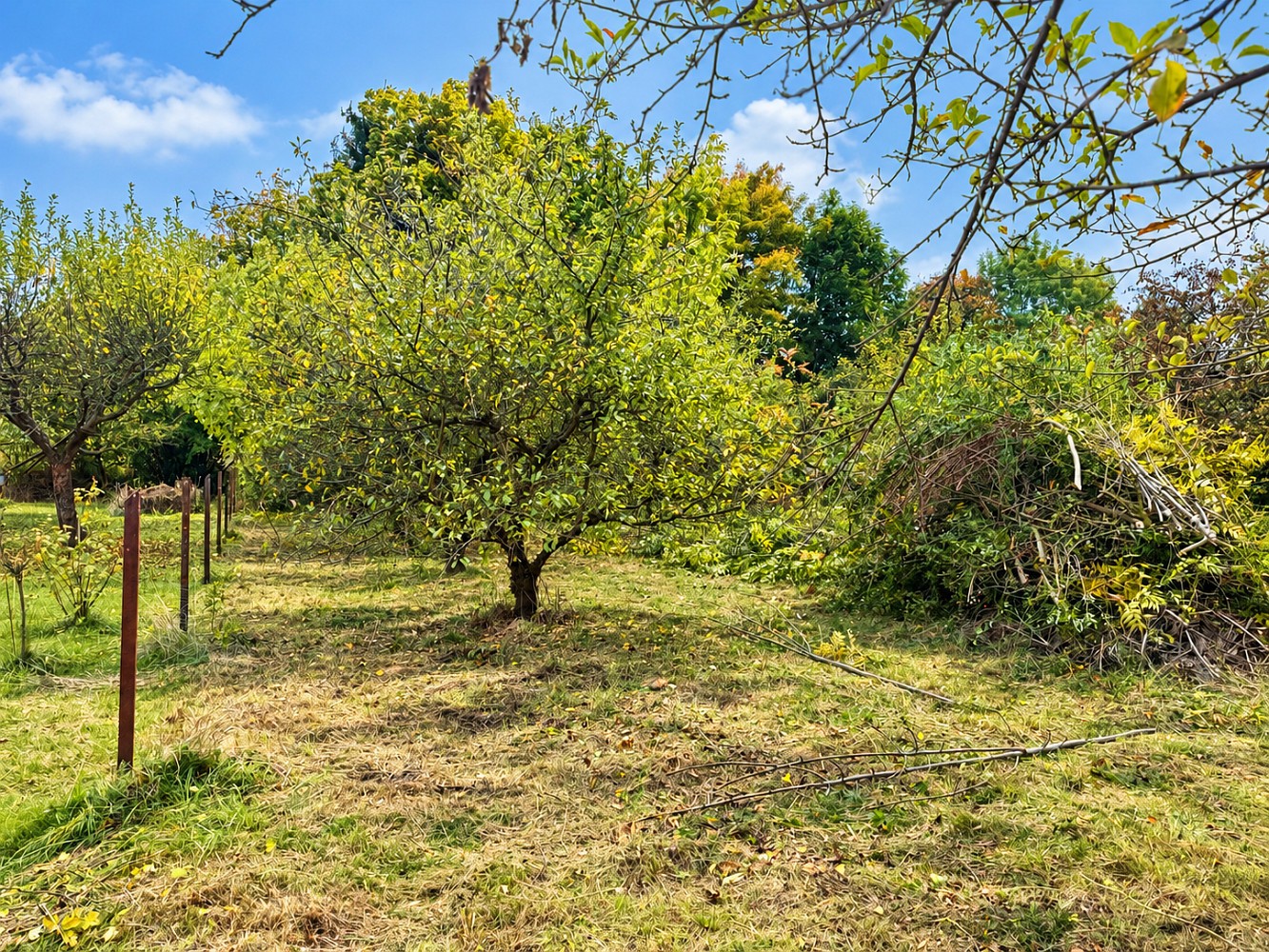 Prodej zahrada - Moravany, okres Pardubice - 5