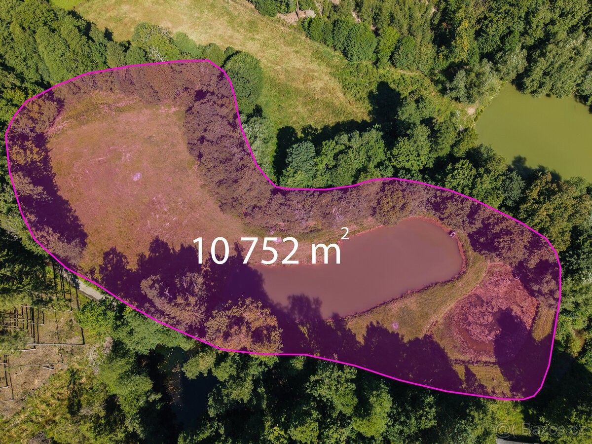 Pozemky pro bydlení, Proseč u Skutče, 539 44