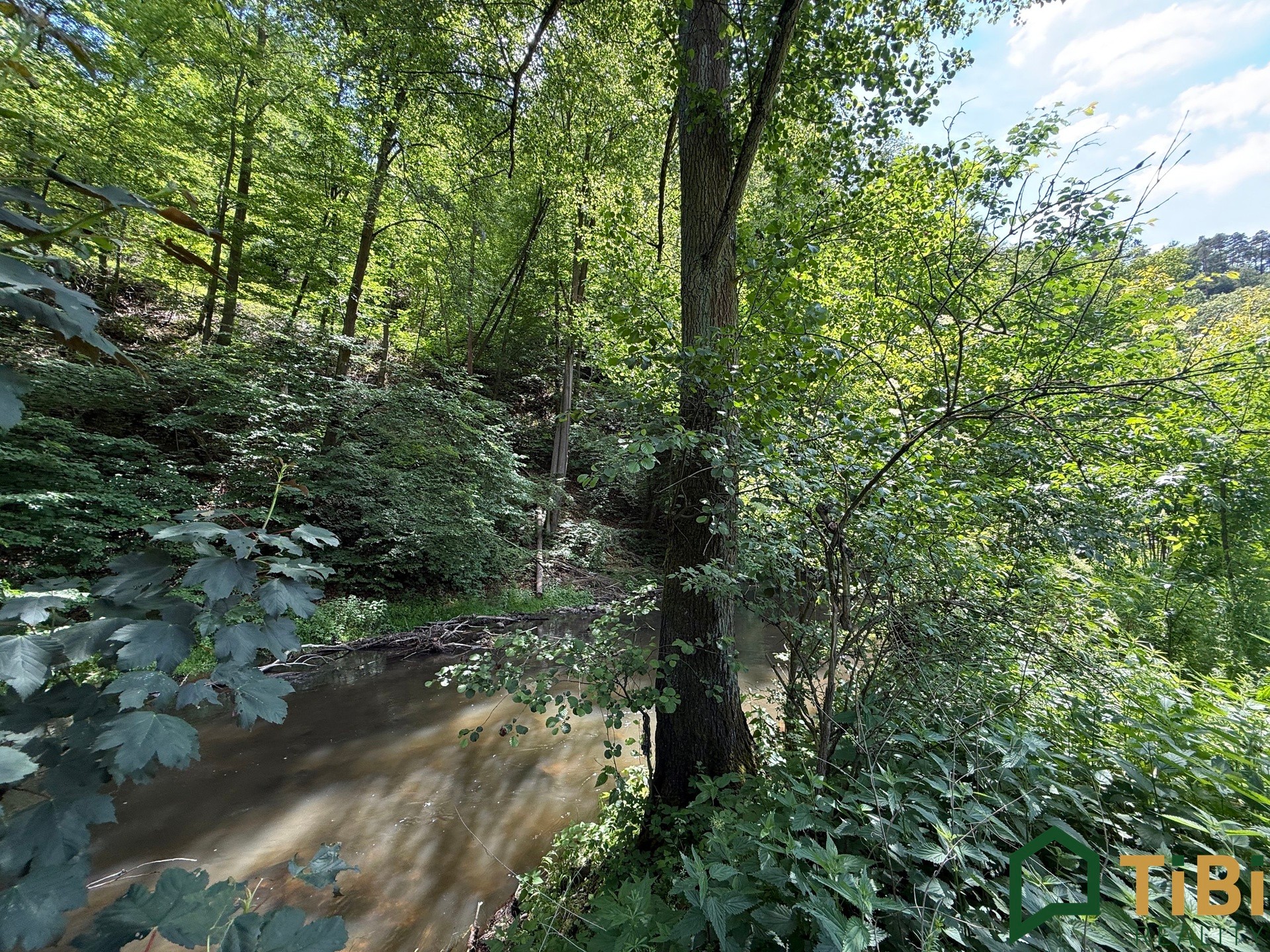 Louka · 3 200 m² · Bílovice nad Svitavou - 4