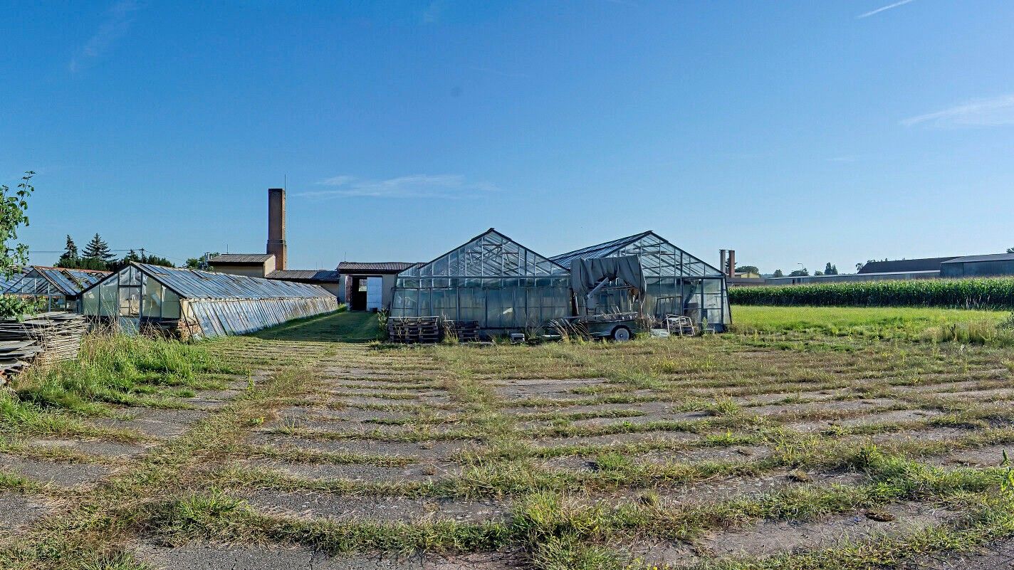Zemědělské pozemky, Staroholická, Holice Staré Holice, 11 704 m²