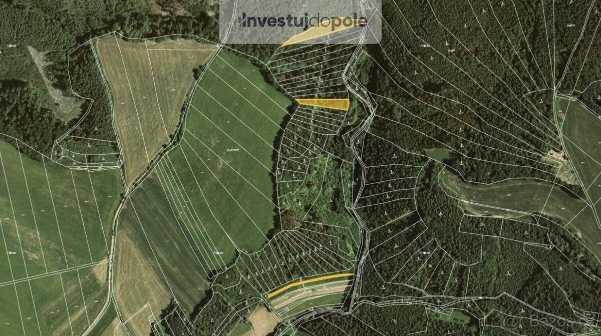 Prodej les - Letovice, 679 61, 4 290 m²