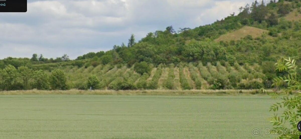 Pozemky pro bydlení, Třebívlice, 411 15