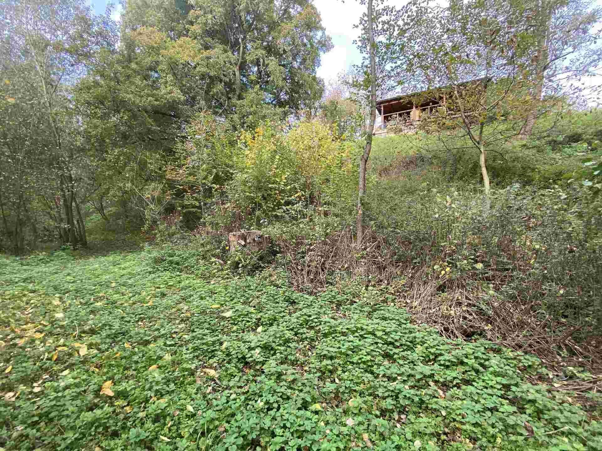 Prodej pozemek - Svijany, 1 003 m² - 2