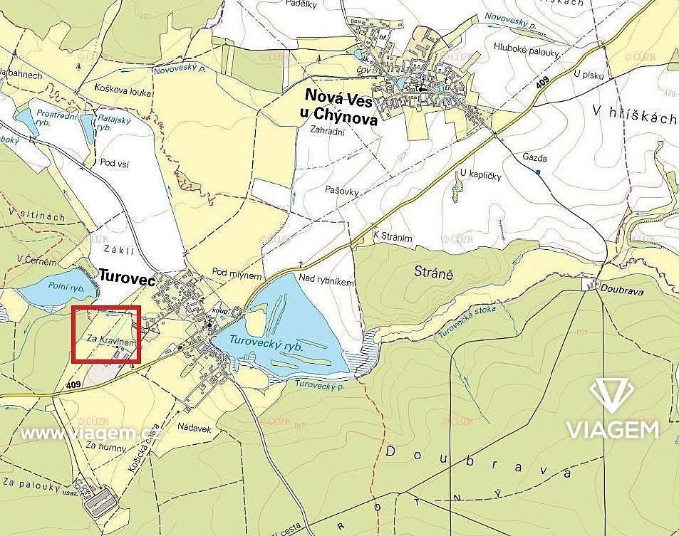 Les · Turovec, okres Tábor, Jihočeský kraj - 3