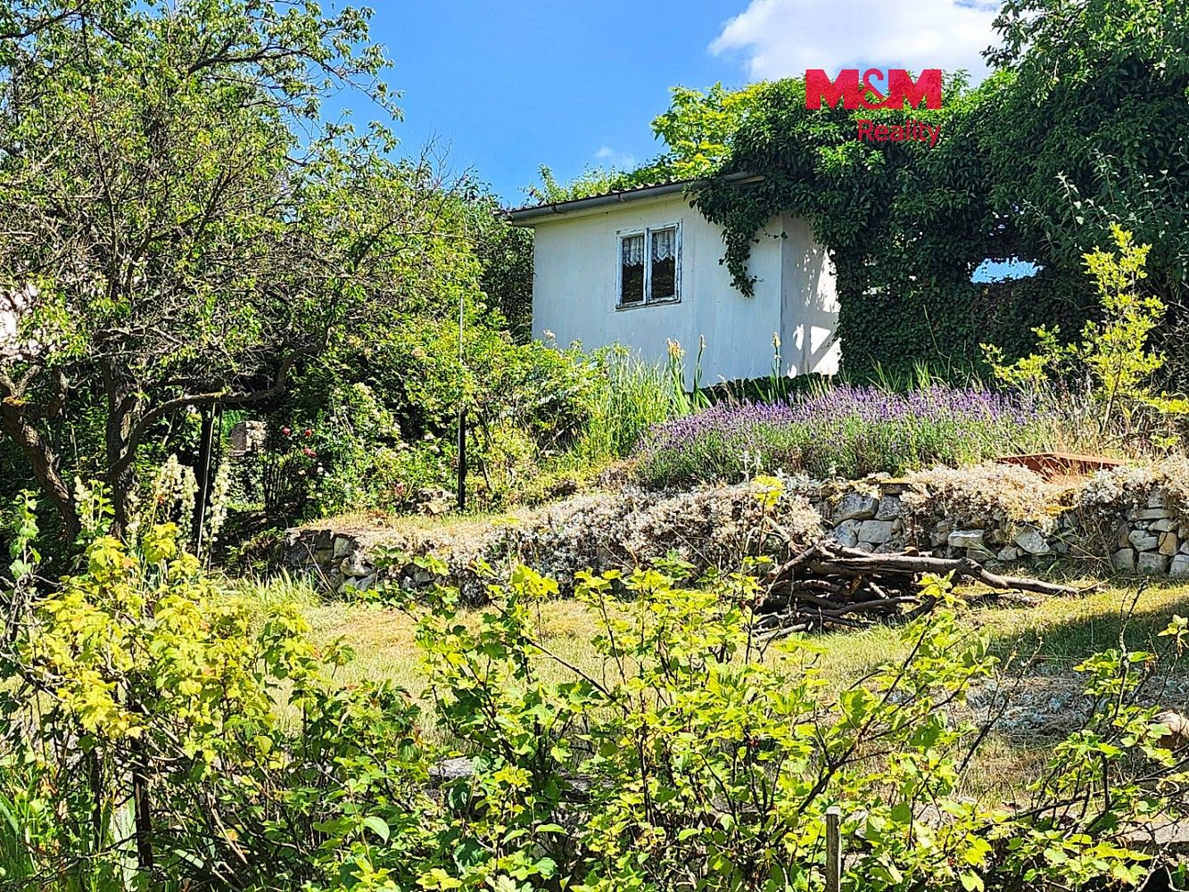 Zahrada, 605 m²