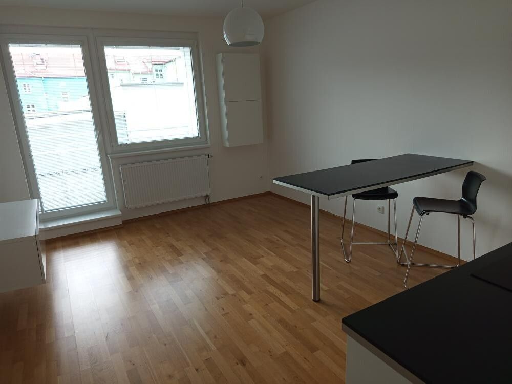 1+kk, U Svobodárny, Praha - Libeň, 28 m² - 2