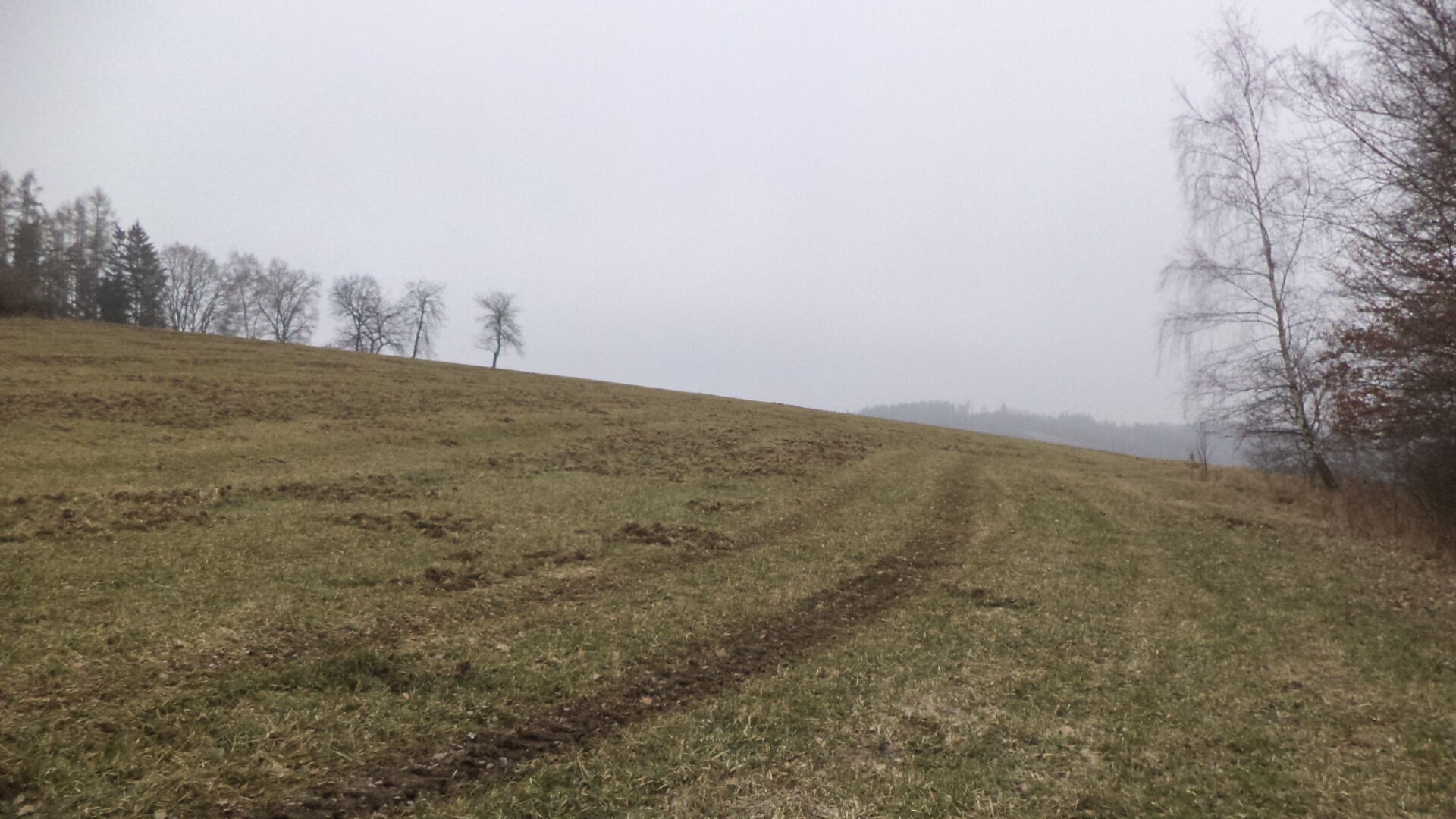 Zemědělské pozemky, Zvěstov Bořkovice, 9 983 m² - 1