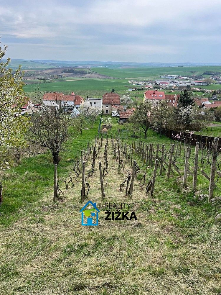 Zahrady, Viničné Šumice, okres Brno-venkov, Jihomoravský kraj - 2