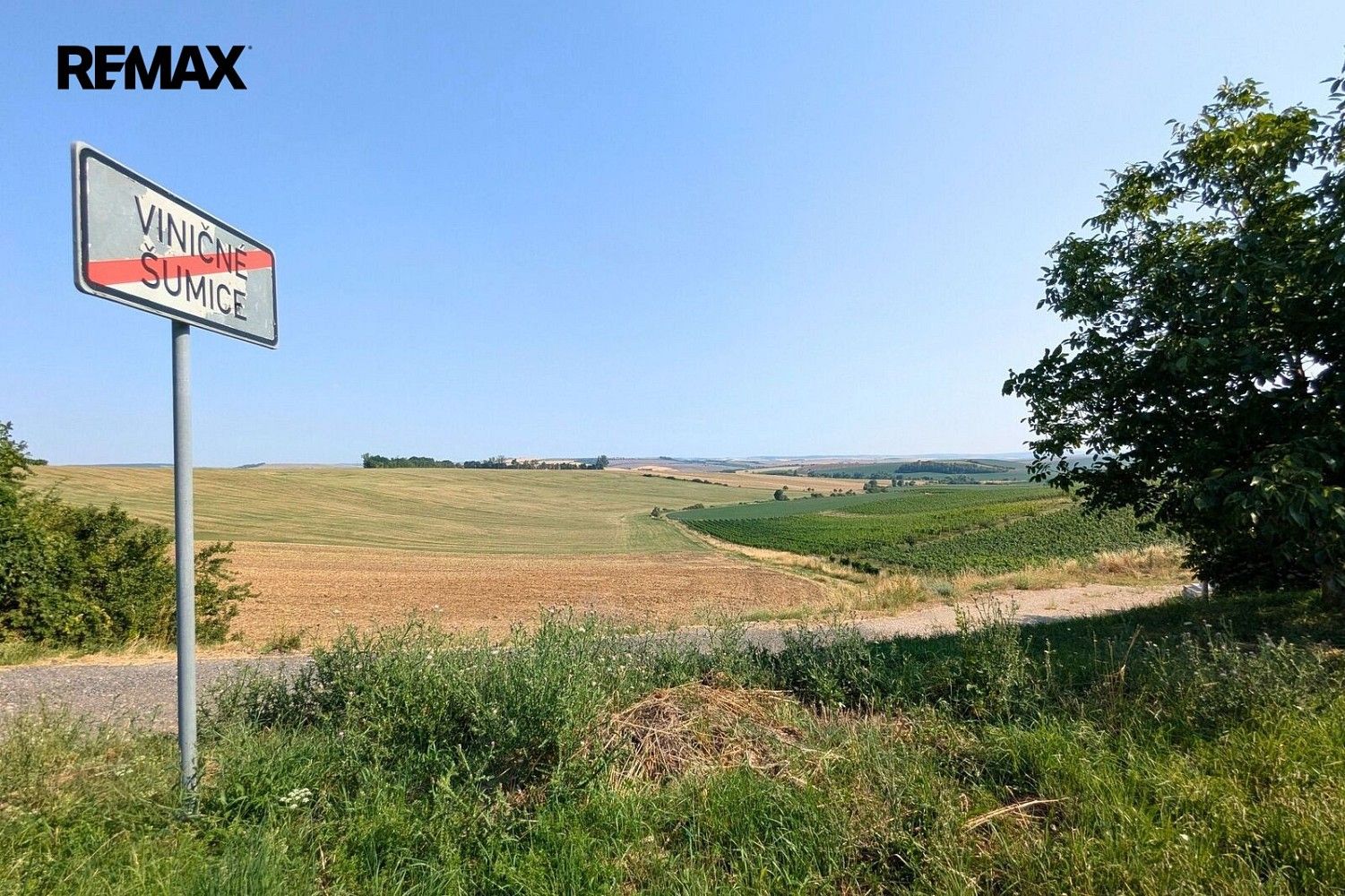 Zahrada · Viničné Šumice, okres Brno-venkov, Jihomoravský kraj - 3